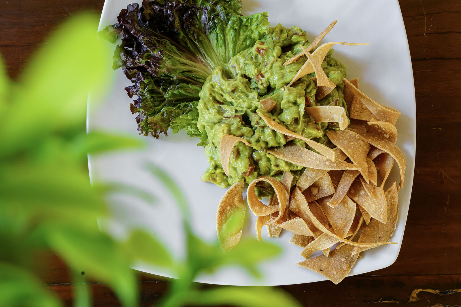 Guacamole con totopos recién hechos
