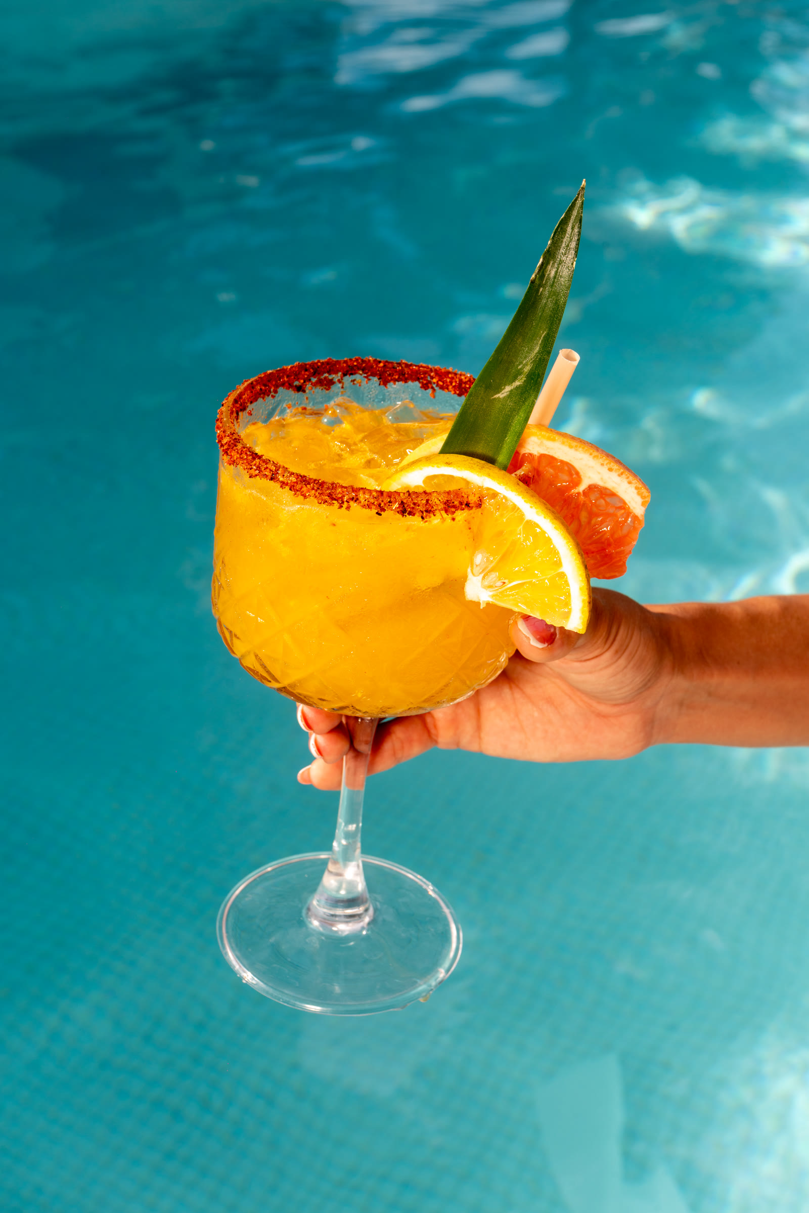 Margarita de la casa sobre la alberca