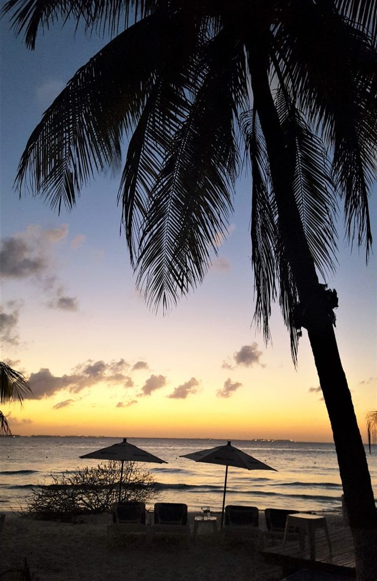 Vida Nocturna en Isla Mujeres: Descubre los Mejores Lugares para Divertirte Después del Anochecer